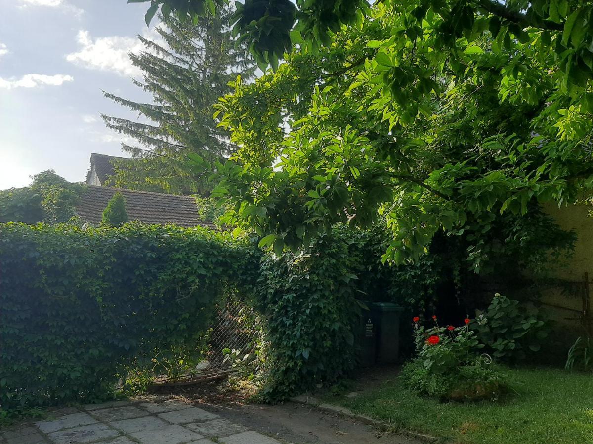 Pensiunea Magnolia Prejmer Exterior foto