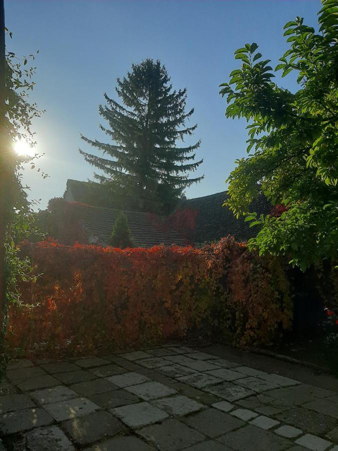 Pensiunea Magnolia Prejmer Exterior foto